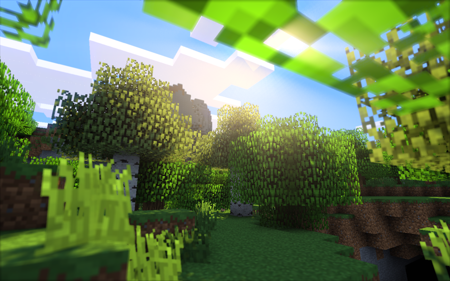 Custom Plugins & Features